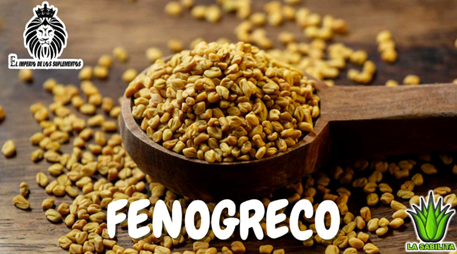 El Fenogreco es un suplemento para complementar el tratamiento de personas que padecen anorexia, anemia o inapetentes, estimula los procesos de digestión y refuerza el organismo.