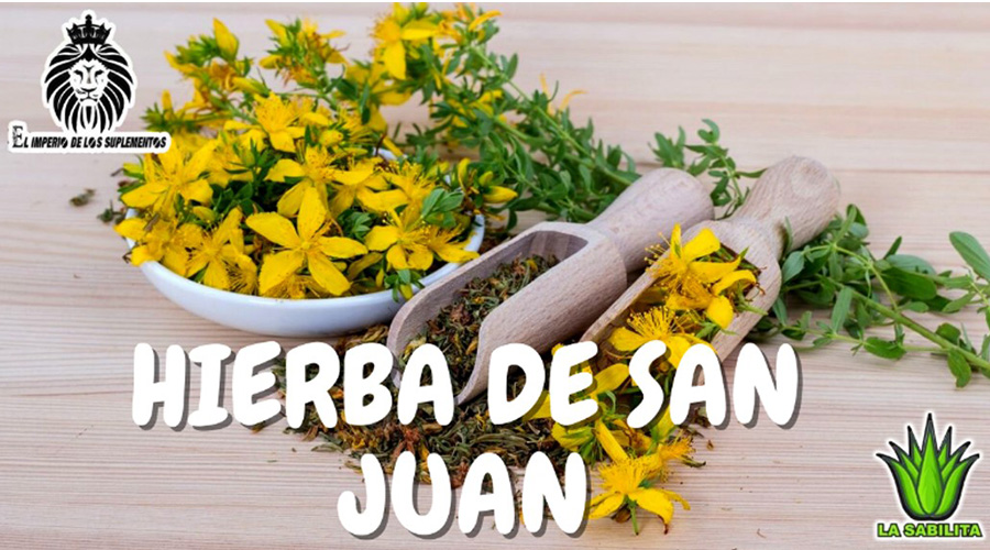 La Hierba De San Juan es una planta medicinal utilizada para tratar estados de depresión, ansiedad, nerviosismo, dermatitis, lesiones en la piel, o quemaduras.
