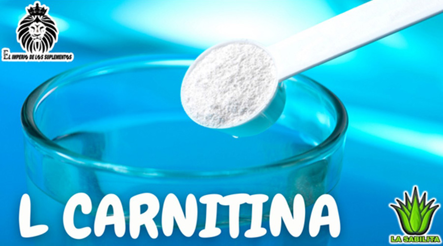 La L-Carnitina es un aminoácido el cual se encargar de transportar los ácidos grasos hacia el interior de las mitocondrias, además permite suministrar la energía necesaria para la actividad celular.
